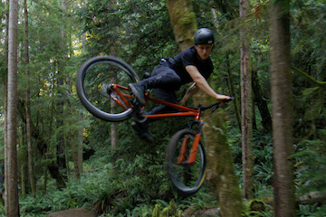 El mejor video que verás hoy "Shadows in the Understory" 