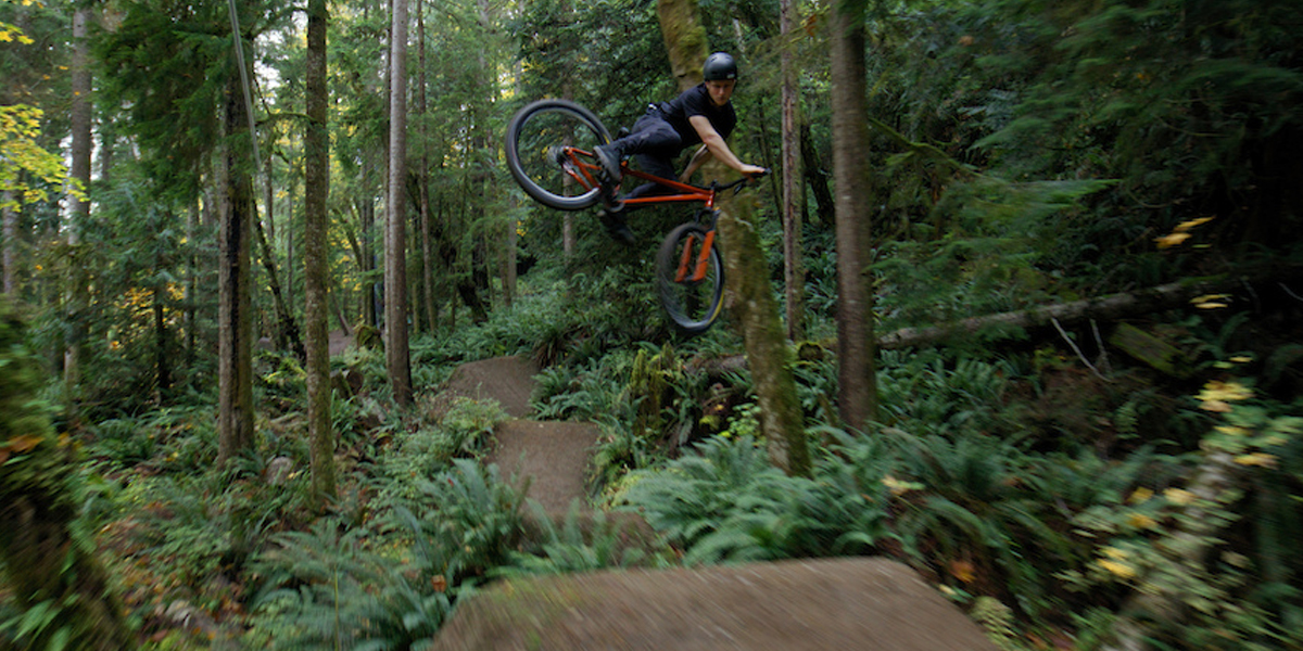 El mejor video que verás hoy "Shadows in the Understory" 